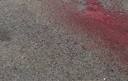 U.S. high school students shot to death in Mexican border town ...