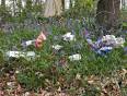 Litter in the Cotswolds