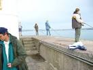 Brixham Breakwater - right at the end. All good guys fishing for mackerel - via Daymix