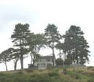 Monte Veritas, Ceunant. A conifer sheltered dormer bungalow with an unusual - via Daymix