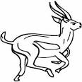 Antelope coloring page