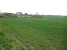 A wheat field on Harman's Hill with Temple Broughton Farm house on the left. - via Daymix