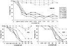2-chloro-3-pyridin-3-yl-5,6,7,8-tetrahydroindolizine-1-carboxamide ...