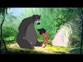 Image result for the jungle book meet baloo