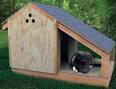 Building a Doghouse Step by