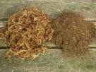 Sphagnum Moss, not Peat : Venus Fly Trap Care Questions