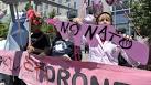 Anti-NATO protesters disrupt Chicago - UPI.