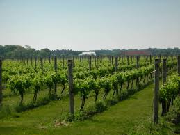 კახეთი - Kakheti