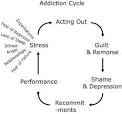 The Addiction Cycle 