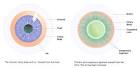 The Structure of The Eye, Eye Anatomy by SelectSpecs.
