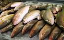 Garcias Seafood Grill and Fish Market | Miami, FL | 305.375.