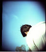 205px-Holga_sample.jpg
