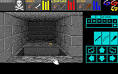 Download Dungeon Master | Abandonia