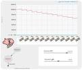 Credit Card Interest Simulation