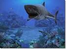 Sharks, Terrors of the Deep 1.0 Screenshot