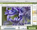 10 Free Web based Alternatives to Photoshop