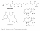 Understanding the adsorption characteristics of yeast cell wall ... 