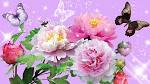 Peony Pride, butterflies, butterfly, Firefox Persona, floral ...