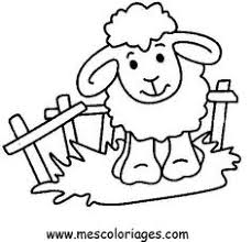 Image result for sheep coloring page