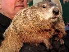 Punxsutawney-