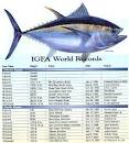 Bigeye Tuna - Severity of the Atlantic Population's Decline and ...