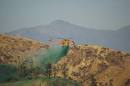 Griffith Park Hills are Alive with Green Stuff - Curbed LA
