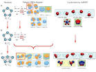 Atomic Scale Design : Aromaticity