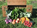 Community Supported Agricultre (