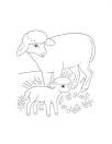 Lamb coloring page