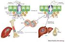 <b>infection</b> with <b>Salmonella</b>