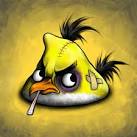 Injured Angry Birds Walyou