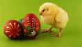 Easter - Holidays - HISTORY.