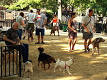 Dog park - Wikipedia, the free encyclopedia