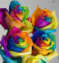 rainbow-roses.jpg