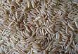 Basmati - Wikipedia, the free encyclopedia