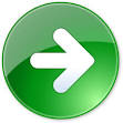NEXT Icon | Must Have Iconset | VisualPharm