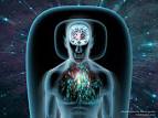 Thoughtful Preparations: Media - via Daymix