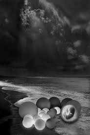 images?q=tbn:ANd9GcQgmTyQa9T_UwQ5GsEUWdK...NAg_x8&t=1