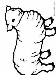 Image result for sheep coloring page