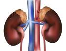 my kid is suffering from nephrotic syndrome & due to steroids ...