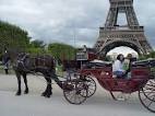 Horse and Carriage Ride - Paris Private Tours | Viator.