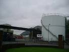 NS8596 : Yeast Factory - via Daymix