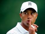 17-examples-of-tiger-woods-.