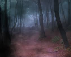 Bosque de la Neblina Images?q=tbn:ANd9GcQhpz0W8zulL251-S_B-6k4CsCxYWV4qrIuKLcIH1uy_oP3ByjU