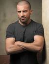 Dominic Purcell Video, Pictures, Biography   AskMen