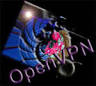 OpenVPN file extensions