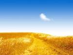 Desktop backgrounds // Animal Life // Nature // Fields of gold ...
