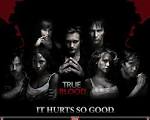 True Blood