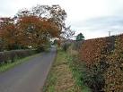 near to Moscow, East Ayrshire, Great Britain. Country road entering Moscow - via Daymix