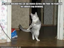 external image images?q=tbn:ANd9GcQiHQ7fhhJvNghaR6oP4soPnKH5aUrkQ5a3_i_DadabF4fBc2DQ